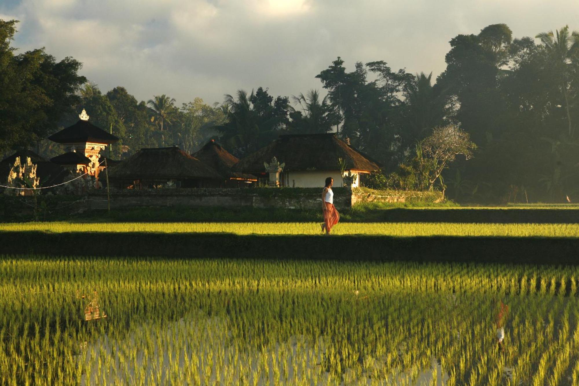 Kayumanis Ubud Private Villas & Spa Tiện nghi bức ảnh